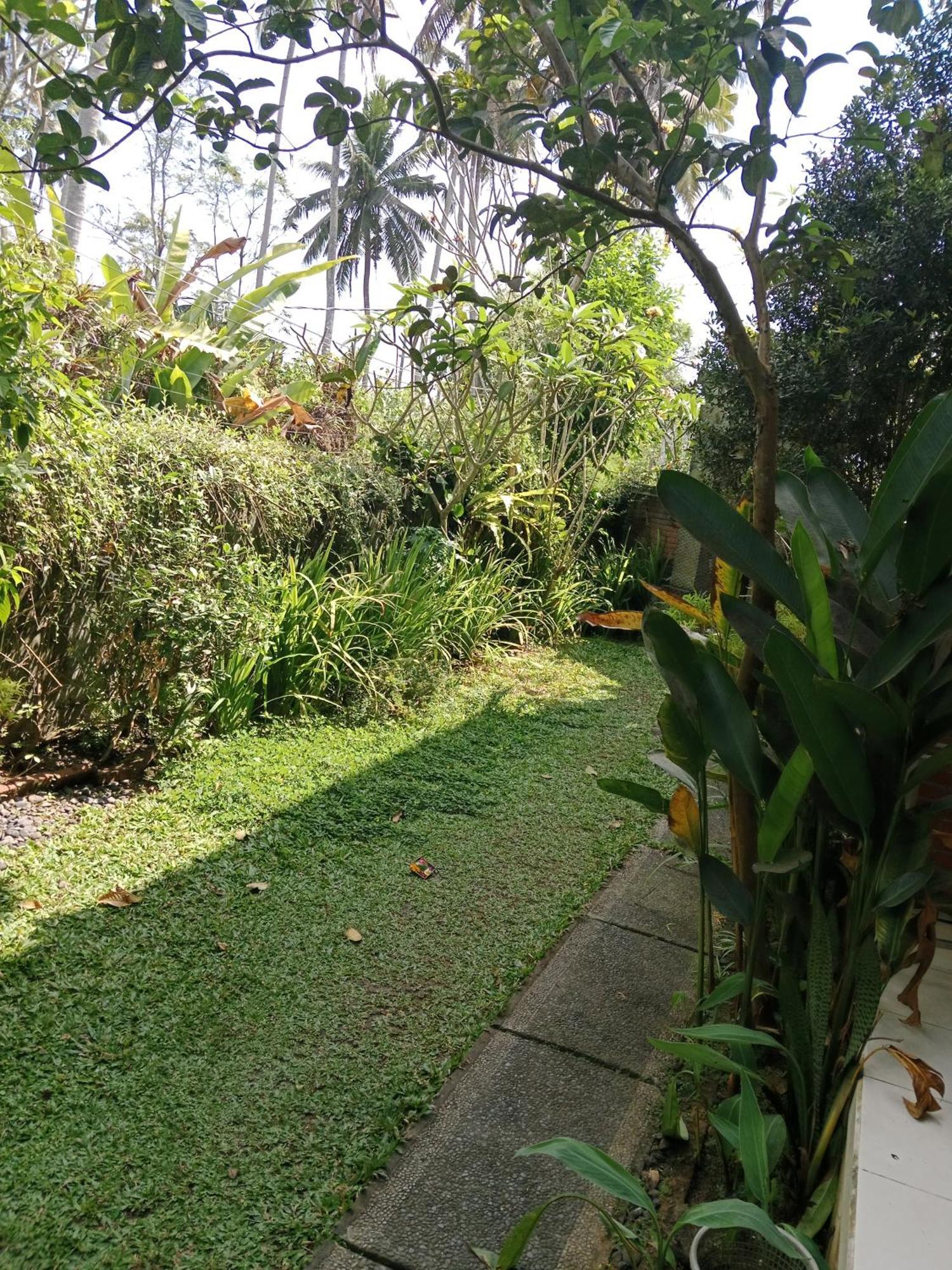 Sunrise Coconut House Hotel Ubud  Bagian luar foto